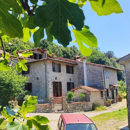 Cara House Tuscany - Zona Lucca Chiatri ภายนอก รูปภาพ