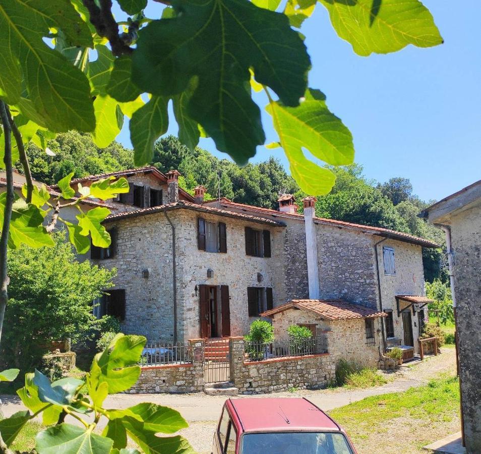 Cara House Tuscany - Zona Lucca Chiatri ภายนอก รูปภาพ