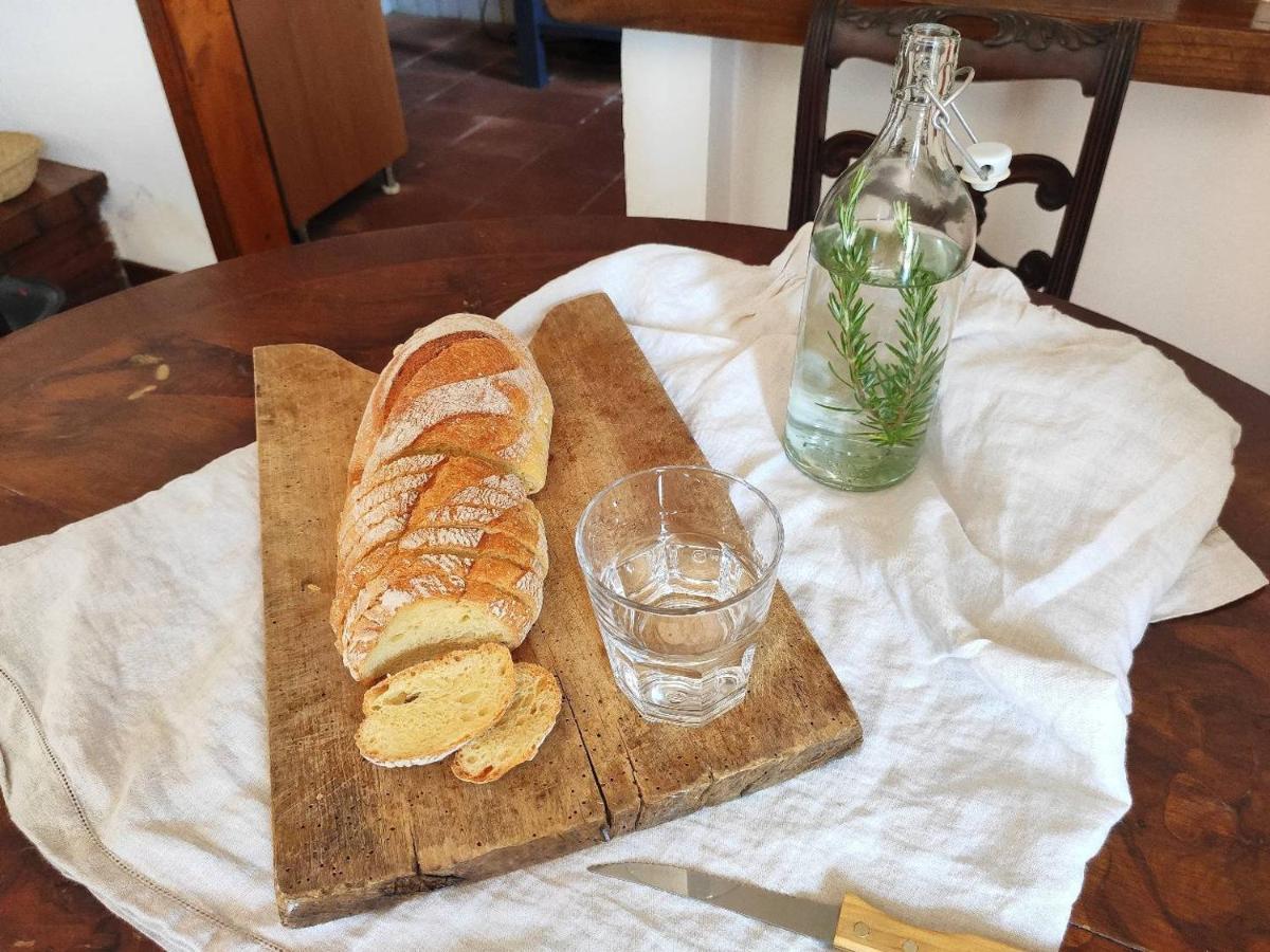 Cara House Tuscany - Zona Lucca Chiatri ภายนอก รูปภาพ